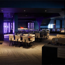 STK Steakhouse Fallsview (9th Floor) - Embassy Suites by Hilton Niagara Falls - Fallsview Hotel, Canada